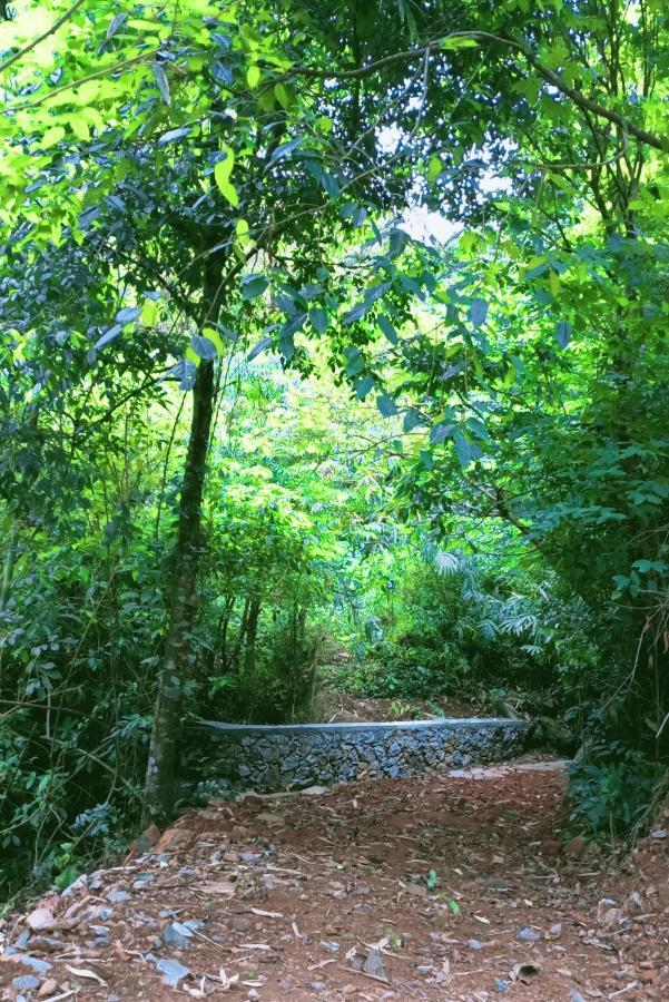 Forest And River Edge Resort Kannur Exterior photo